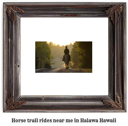 horse trail rides near me in Halawa, Hawaii